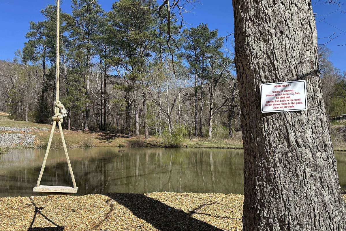 A playful outdoor setting featuring a swing hanging from a tree overlooking the calm pond. A warning sign on the tree adds a touch of authenticity. The area is surrounded by lush grass, suggesting plenty of space for kids to play and families to relax by the water.